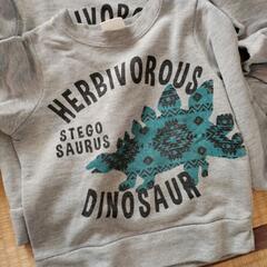 恐竜トレーナーと迷彩Tシャツのセットの画像