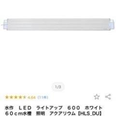 コトブキ水槽　キューブ　25cm セット　ADA シュリン　熱帯魚　メダカの画像