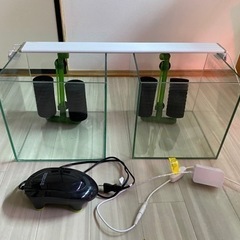 コトブキ水槽　キューブ　25cm セット　ADA シュリン　熱帯魚　メダカの画像