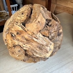 珍しい　希少　大型流木オブジェ　アート