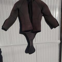 img64134767.jpg
