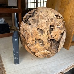 珍しい　希少　大型流木オブジェ　アート