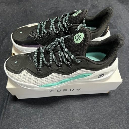 バッシュ　カリー11