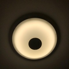 3/28引き渡し　LED 電気かさ×2の画像