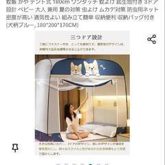 蚊帳の画像