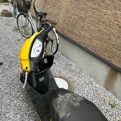 ライブディオ AF34 ホンダの画像