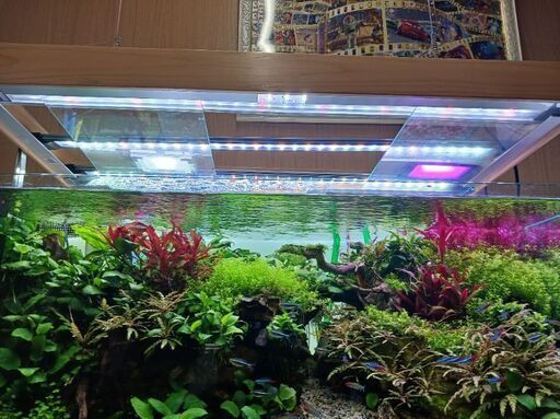 17000円にさらに値下げ水槽LEDライト