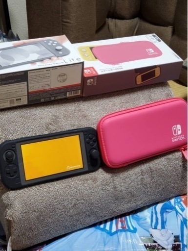 Nintendo Switch ライト　グレー　ケース付き