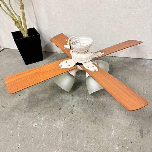 15615 公式 Plus more シーリングファン Windouble 4灯 ◇大阪市内・東