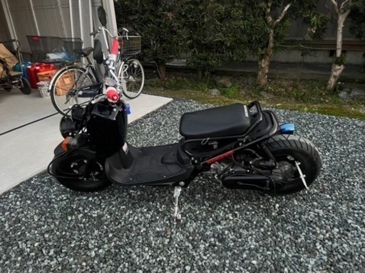 ホンダズーマー