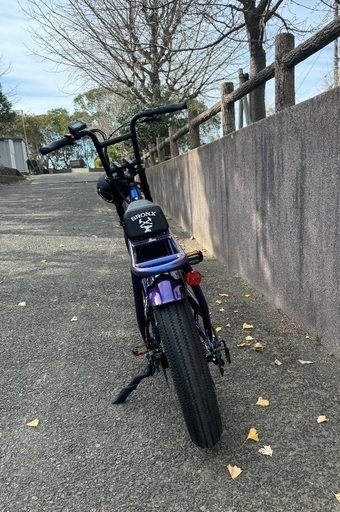 bronx buggyストレッチ（三日間限定値下げ） (はるにゃ) 藤沢の