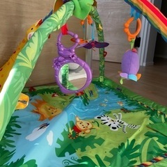 ジャングル　ベビージム　メリー