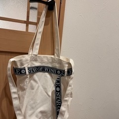 値下げしました【美品　EXILE TRIBE 公式グッズ　カバン　バック】の画像