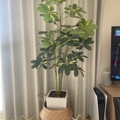 鉢付きフェイクグリーン（観葉植物）140cmの画像