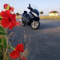 スズキ　スカイウェイブ　250　リミテッド