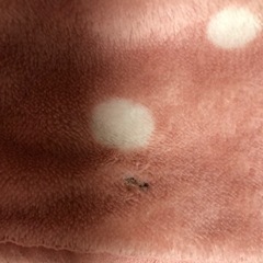 最終お値下げ！ ニッセン  ドッド柄の正方形のこたつ布団と中布団セット(省スペース)の画像