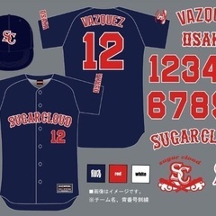 南大阪拠点の草野球チーム！レベル不問！
