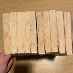 ハチミツとクローバー　マンガ　全巻セット　ハチクロ　羽海野チカの画像