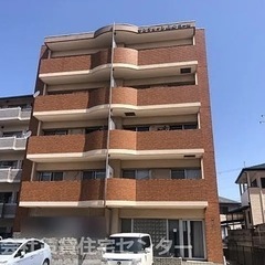 ジモティー限定‼️ 　大家直売なのでお得☺️　和歌山市土入　2L...