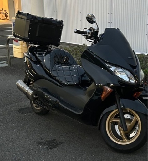 出品1/18まで　フォルツァmf08 スペシャルエディション　訳アリ