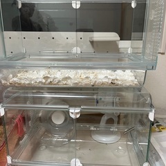 ハムスターケージ３つセット！の画像