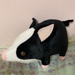 マイクロブタのピグ　ぬいぐるみ