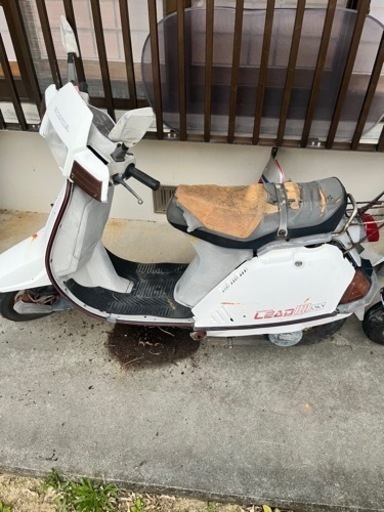 買取者　決定　リード80ss 希少