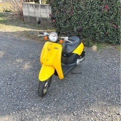 712. 動画あり　ホンダ　AF61 トゥデイ 原付　バイク　50cc   車体　本体の画像