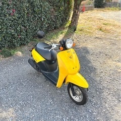 712. 動画あり　ホンダ　AF61 トゥデイ 原付　バイク　5...