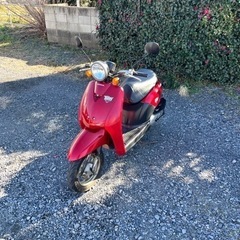 716. 動画あり　ホンダ　AF61トゥデイ　原付　バイク　４スト　50cc   車体の画像