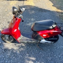 716. 動画あり　ホンダ　AF61トゥデイ　原付　バイク　４スト　50cc   車体の画像