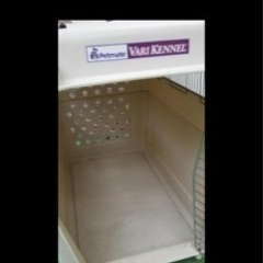 犬のゲージ 1月25日迄早い者勝ちです！の画像