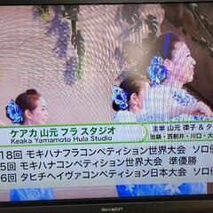 🌺川口駅近昼☀️(土)休日はフラダンス🎶の画像