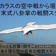 八卦掌水式門ブログ更新｜『カラスの猛追を流すタカの姿で悟った「清...