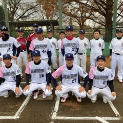 野球　府中市で活動　選手、マネージャー募集です！　シルバースターズ