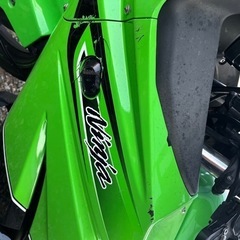 NINJA250R 2011年スペシャルエディション　の画像