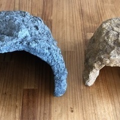 爬虫類　シェルター　ペット
