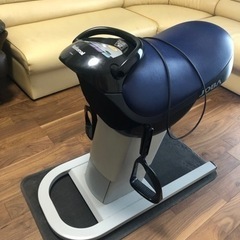 乗馬、運動不足、脂肪燃焼、家電の画像