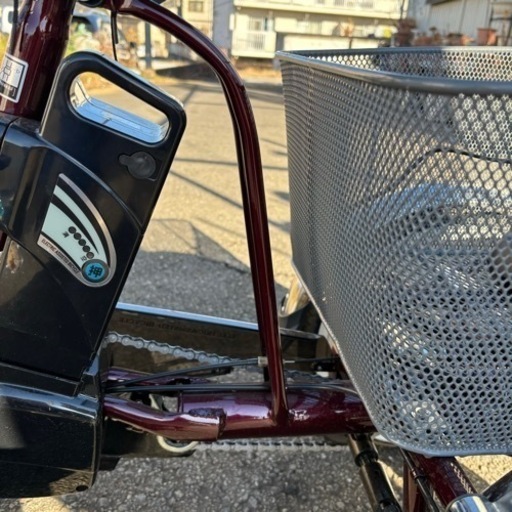 PELTECH(ペルテック) 電動アシスト三輪車 TDR-163L