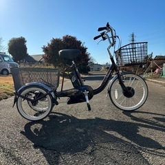 PELTECH(ペルテック) 電動アシスト三輪車 TDR-163L