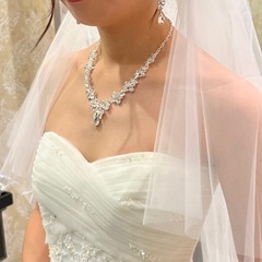 ネックレス、ピアスの画像