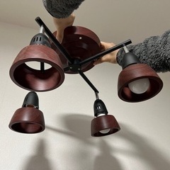 ウニコの照明