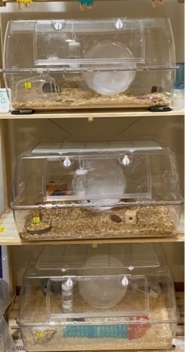 ハムスター用品⭐︎ルーミィ60ベーシック　他⭐︎