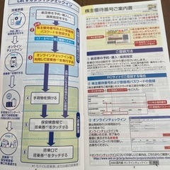 ANA 飛行機　チケット　の画像