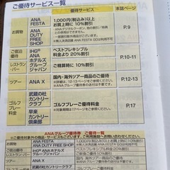 ANA 飛行機　チケット　の画像