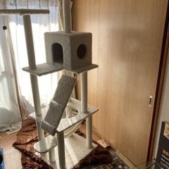 キャットタワー早い者勝ちの画像