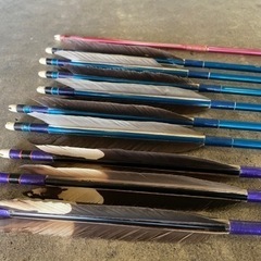 矢（23本）ケース付きの画像