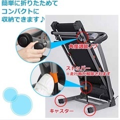 Alinco Fitness Pro AFW1011の画像