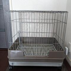 【値下げ】うさぎ　小動物　用品　チモシー他