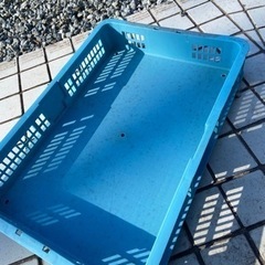 お値下げしました！食品コンテナの画像